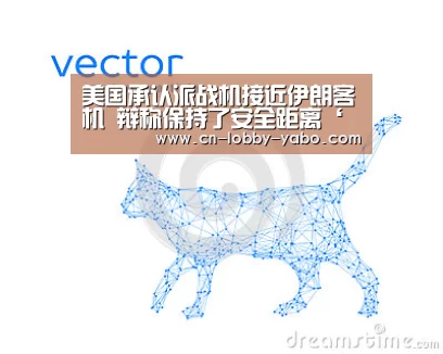 美国承认派战机接近伊朗客机 辩称保持了安全距离‘亚博官网’