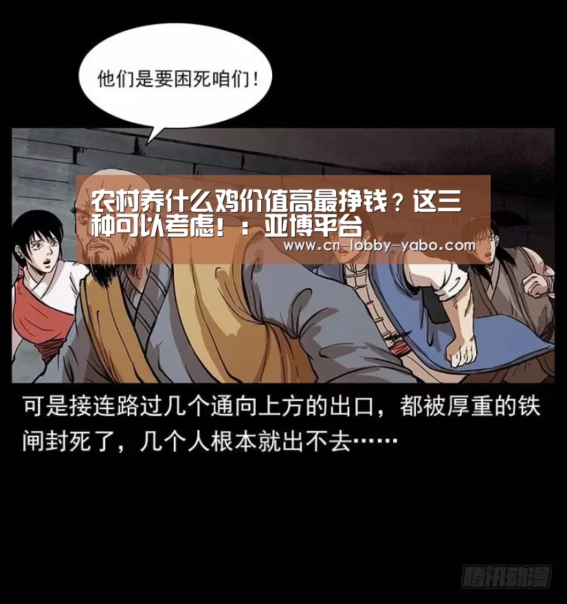 农村养什么鸡价值高最挣钱?这三种可以考虑!:亚博平台(图2) 亚博官网
