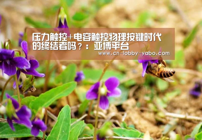 压力触控+电容触控物理按键时代的终结者吗?:亚博平台(图3) 亚博app