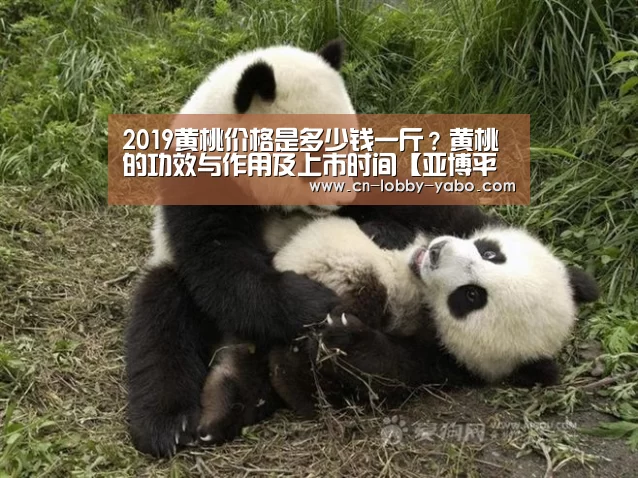 2019黄桃价格是多少钱一斤?黄桃的功效与作用及上市时间【亚博平台】