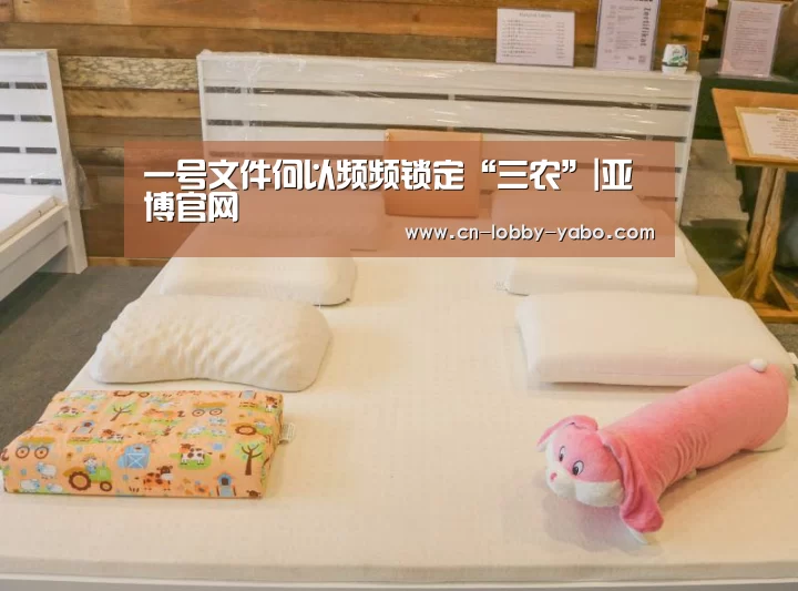 一号文件何以频频锁定“三农”|亚博官网(图3) 亚博官网