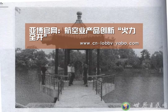 亚博官网:航空业产品创新“火力全开”(图2) 亚博官网