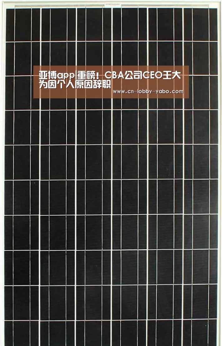 亚博app|重磅!CBA公司CEO王大为因个人原因辞职(图4) 亚博平台