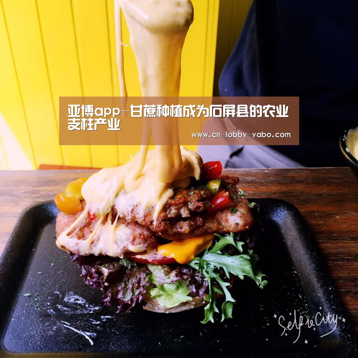 亚博app-甘蔗种植成为石屏县的农业支柱产业