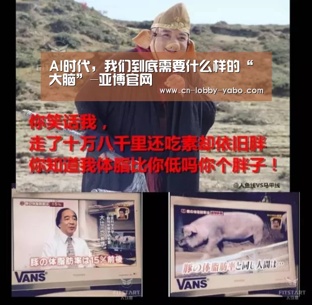 亚博app