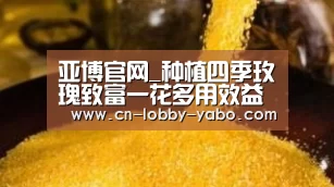 亚博官网