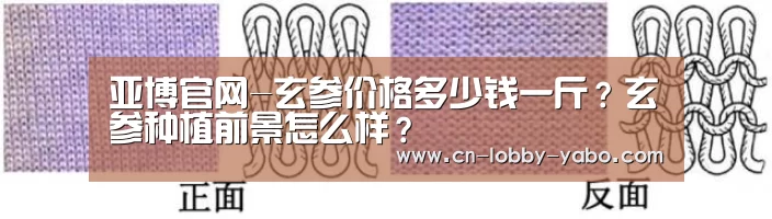 亚博官网